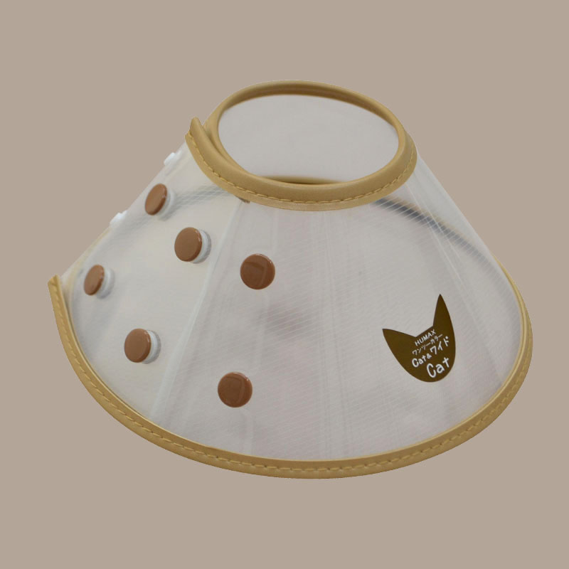 ワンツーカラ－Cat&ワイド Cat