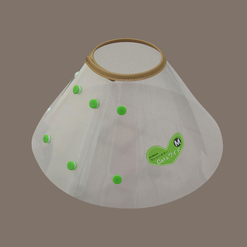 ワンツーカラ－Cat&ワイド　M