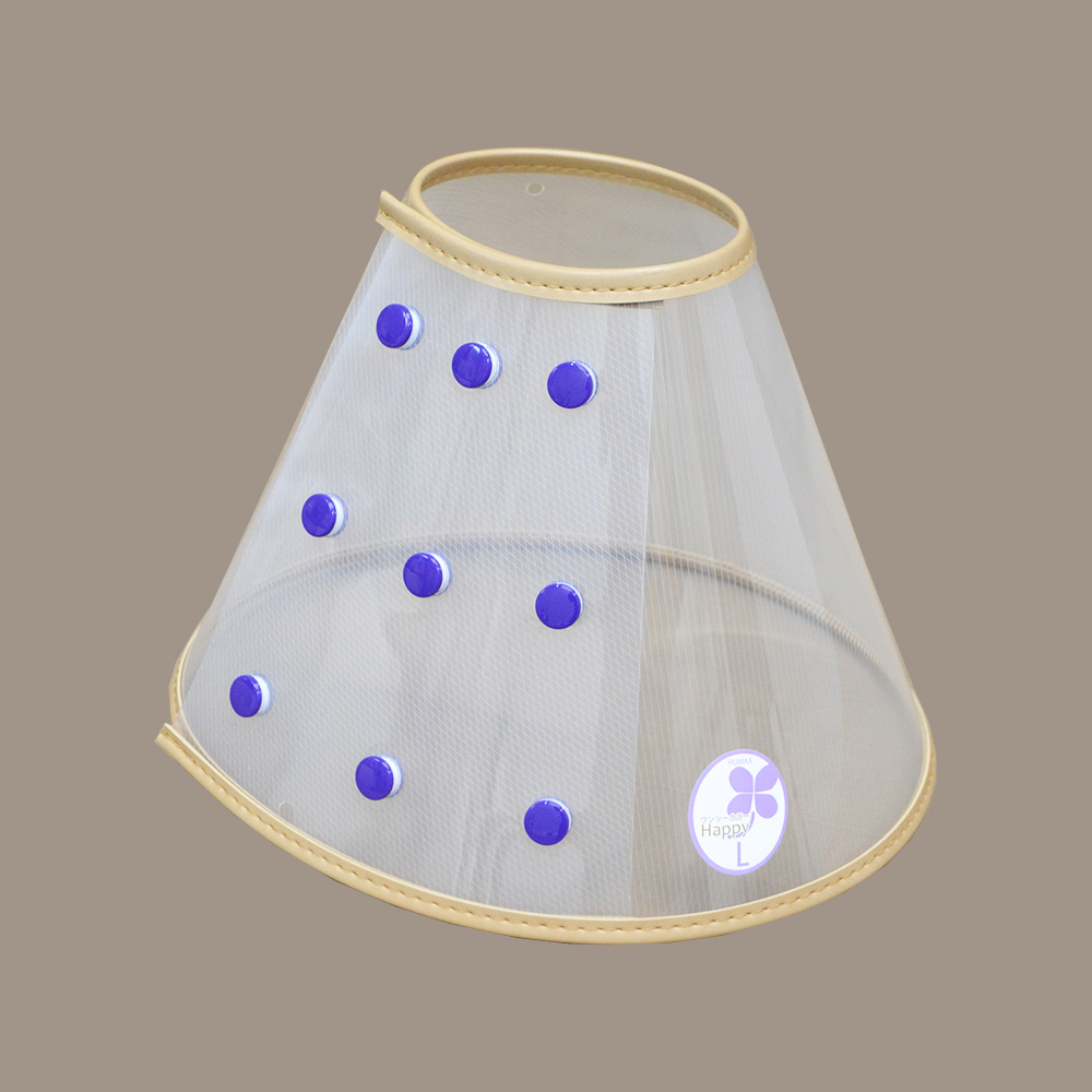 ワンツーカラ－Happy L