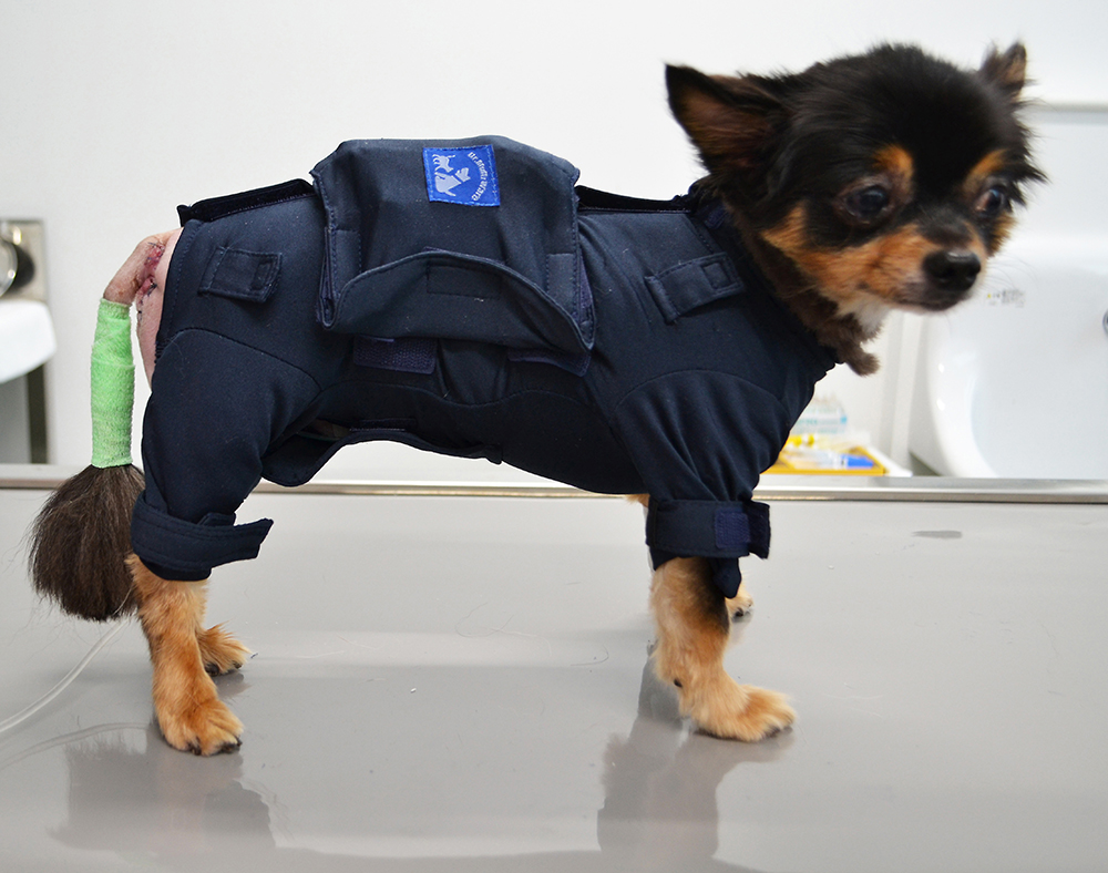 入院服　ドクターマルチウェア　