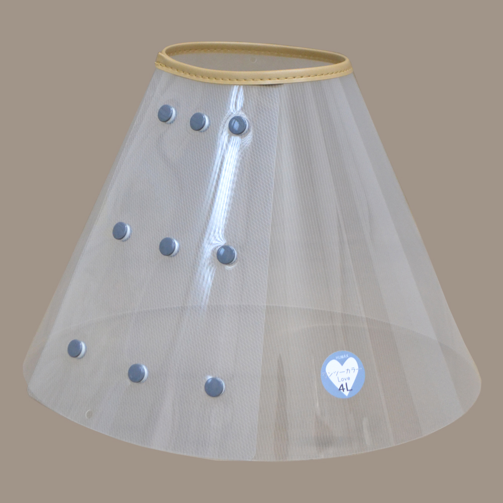 ワンツーカラ－Love 4l